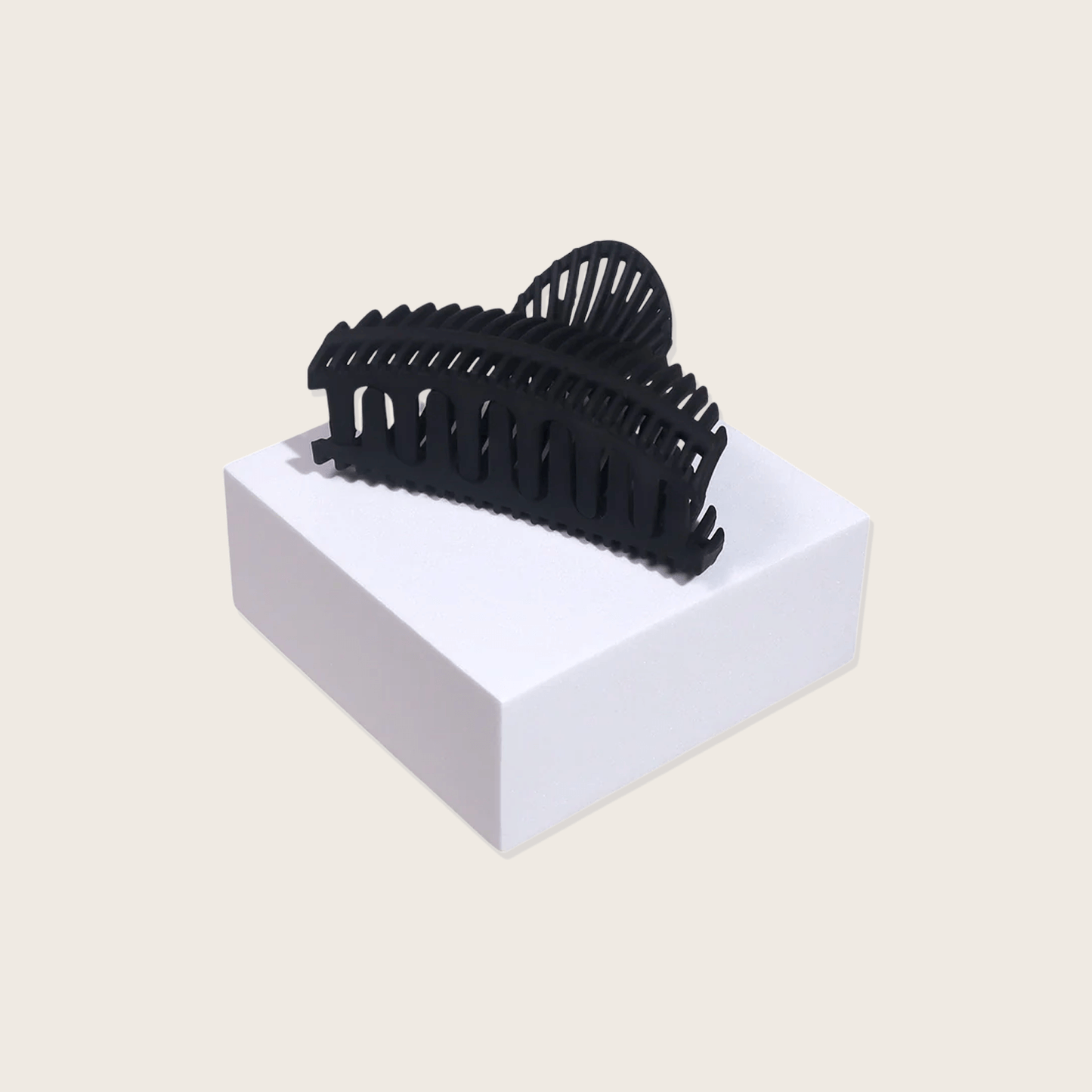 Pince Coquillage Noir