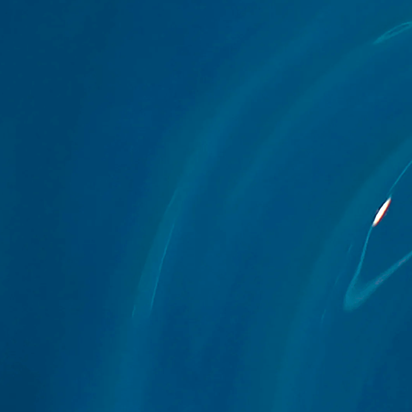 GELCOLOR | Duomo days isola nights | GCMI06