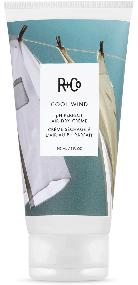 R+CO - Crema de secado al aire perfecta con PH Cool Wind |5 oz|