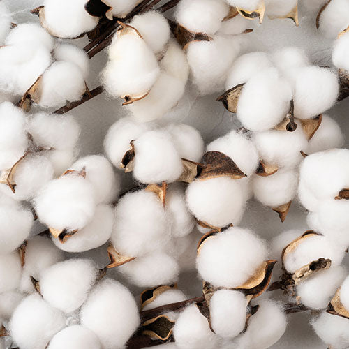 Keratin Miracle - Frizz Over Hair Mousse 200ml