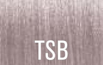 Joico TSB / Silver Blonde