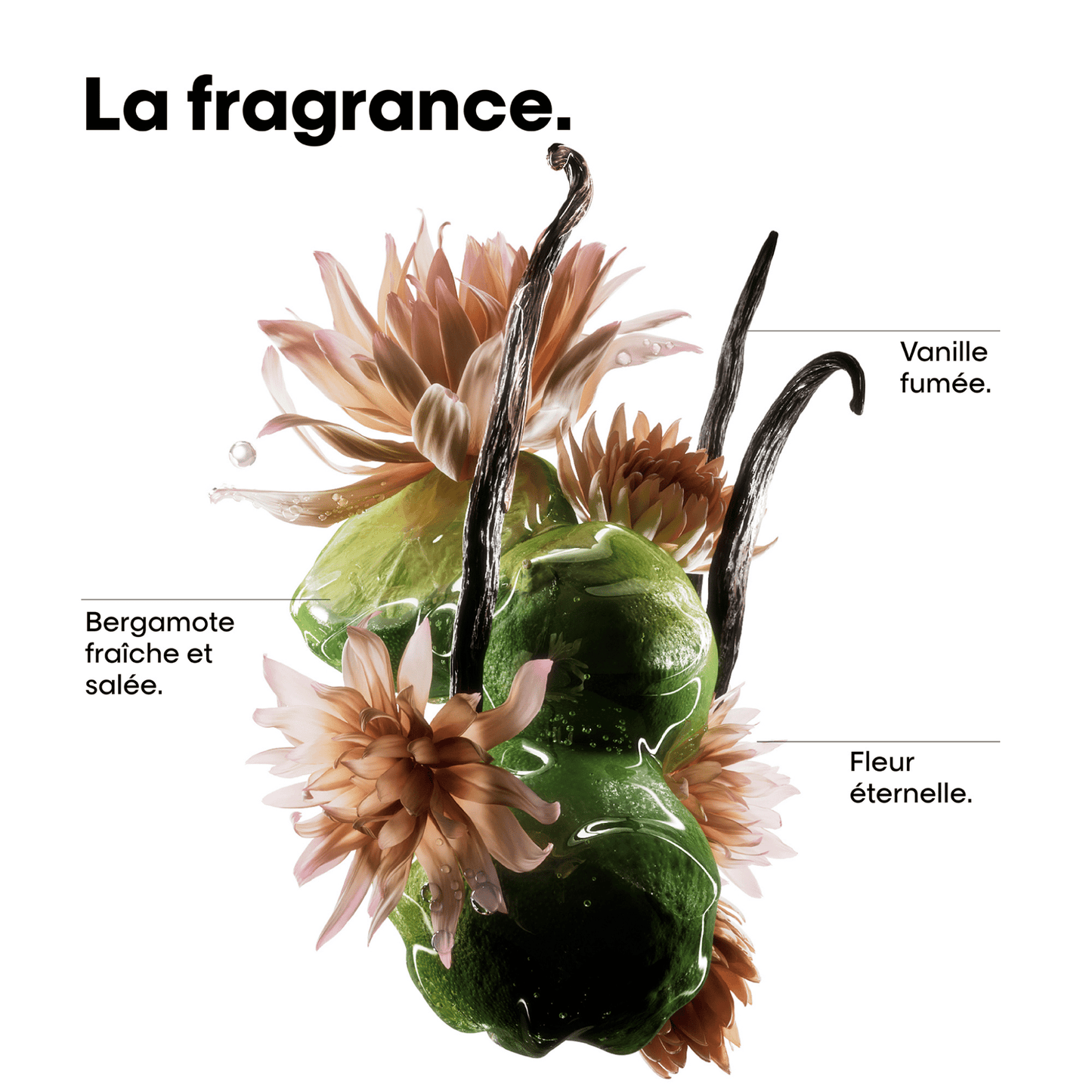 L'Oréal Professionnel Série Expert Absolut Repair Molecular Holiday Gift Set – Shampoo 500ml, Mask 250ml & Leave-In 100ml