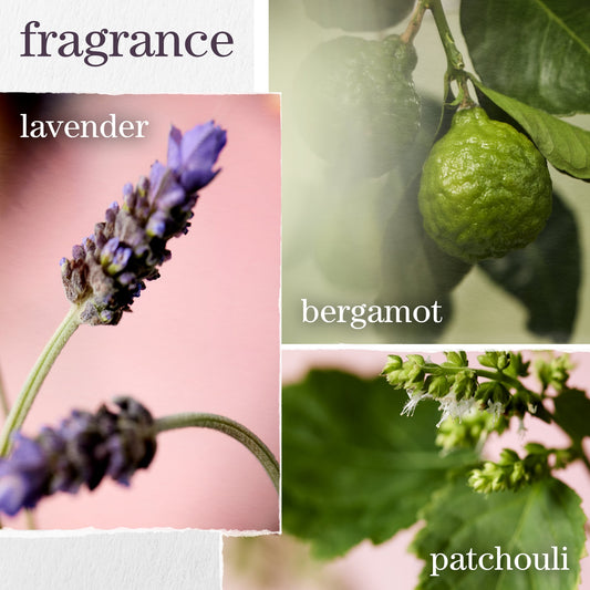 Hydrate Holiday Discovery Trio - Hydrate fragrance notes
