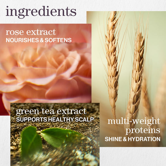 Hydrate Holiday Trio - Hydrate hero ingredients, jojoba esters and green tea
