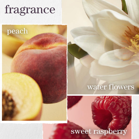Strength Cure Discovery Trio 2025 - Strength Cure fragrance notes