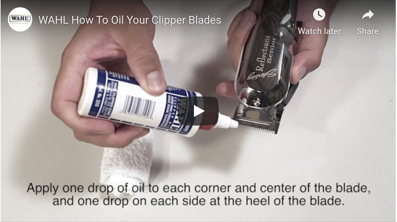 How To Oil Your Clipper Blades