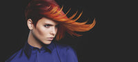 All Hair Colour