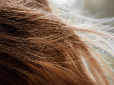 Dry & Dehydrated Hair logo