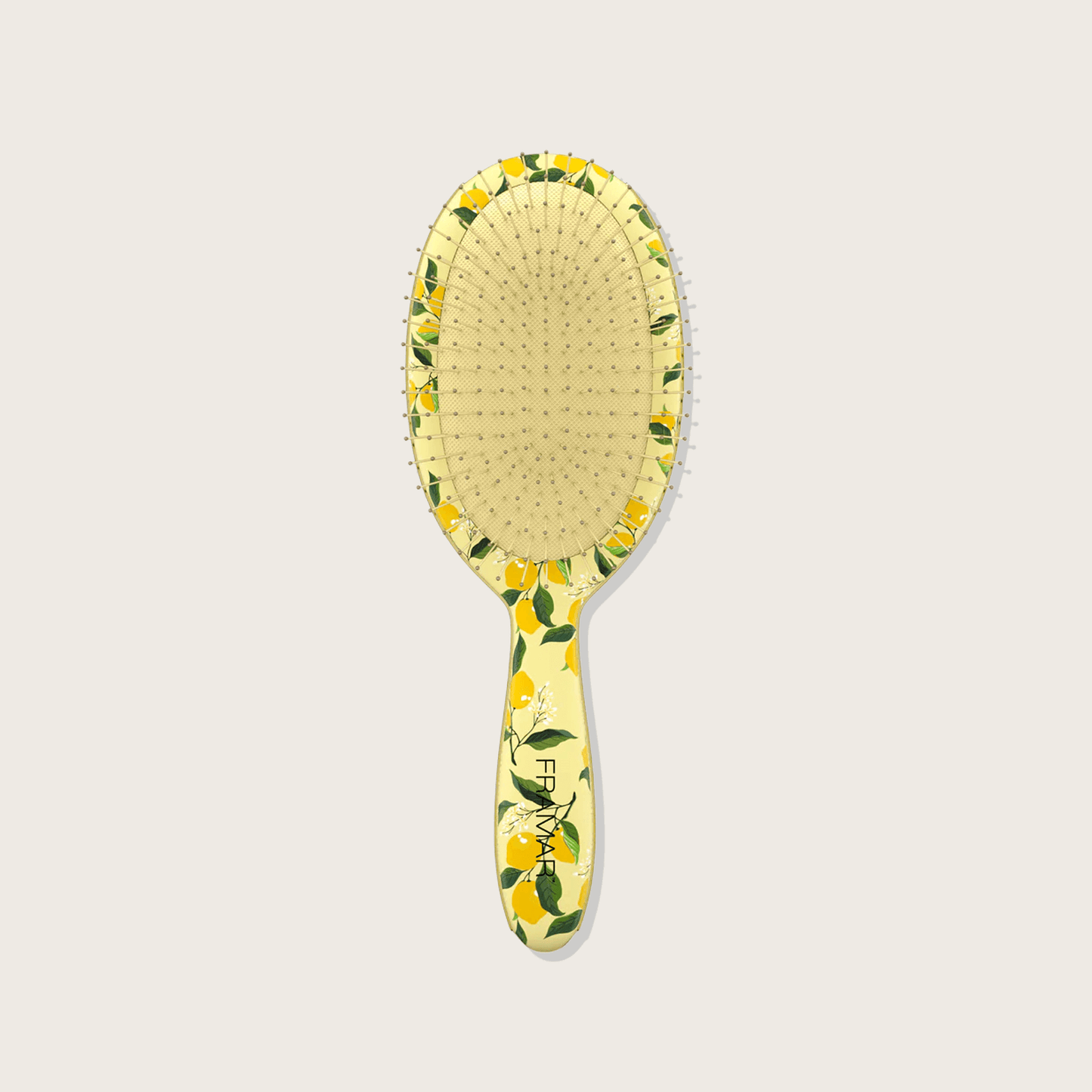 Brosse démélante