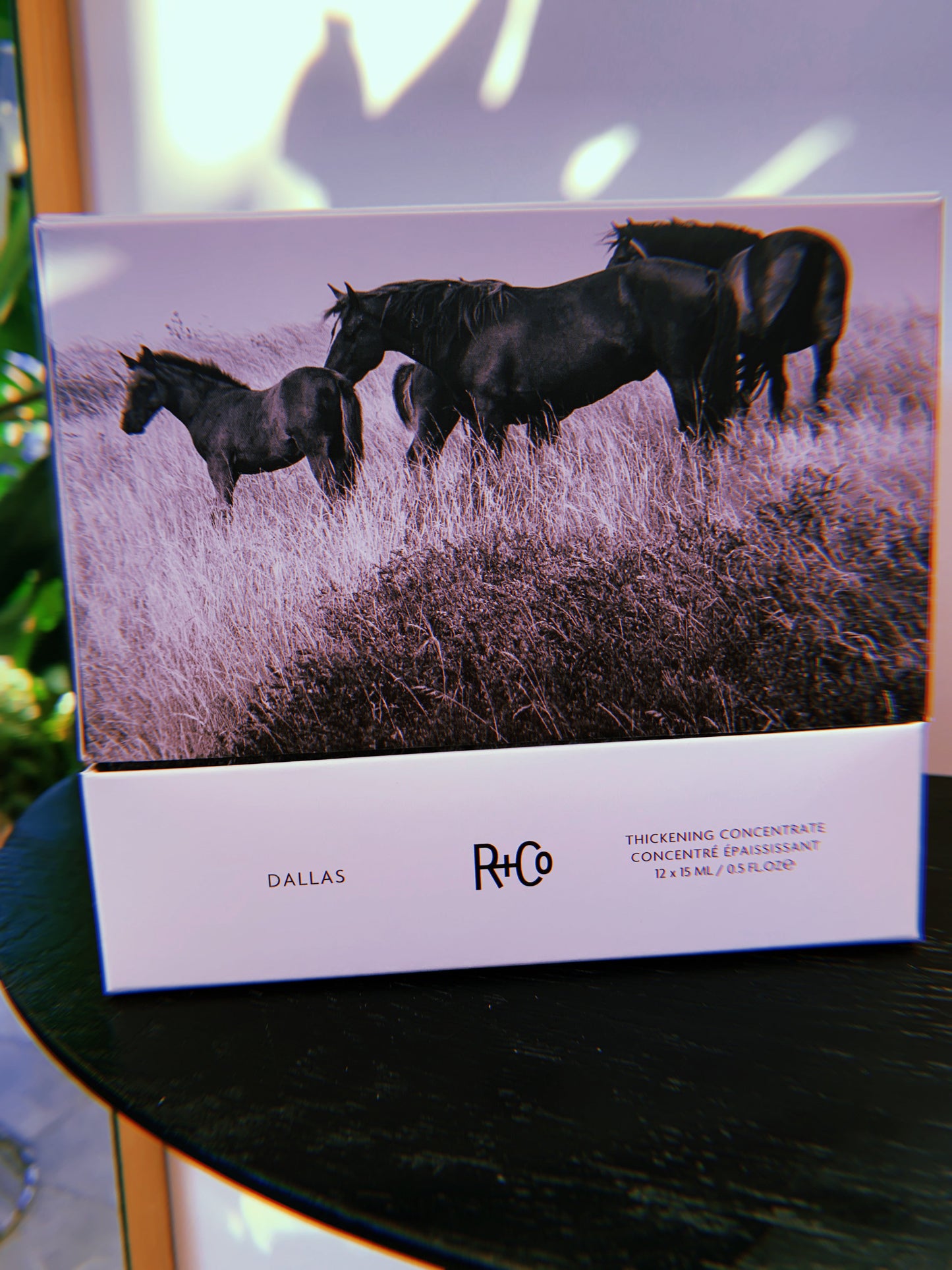 R+CO Dallas Thickening Concentrate Treatment - Boost Hair Volume