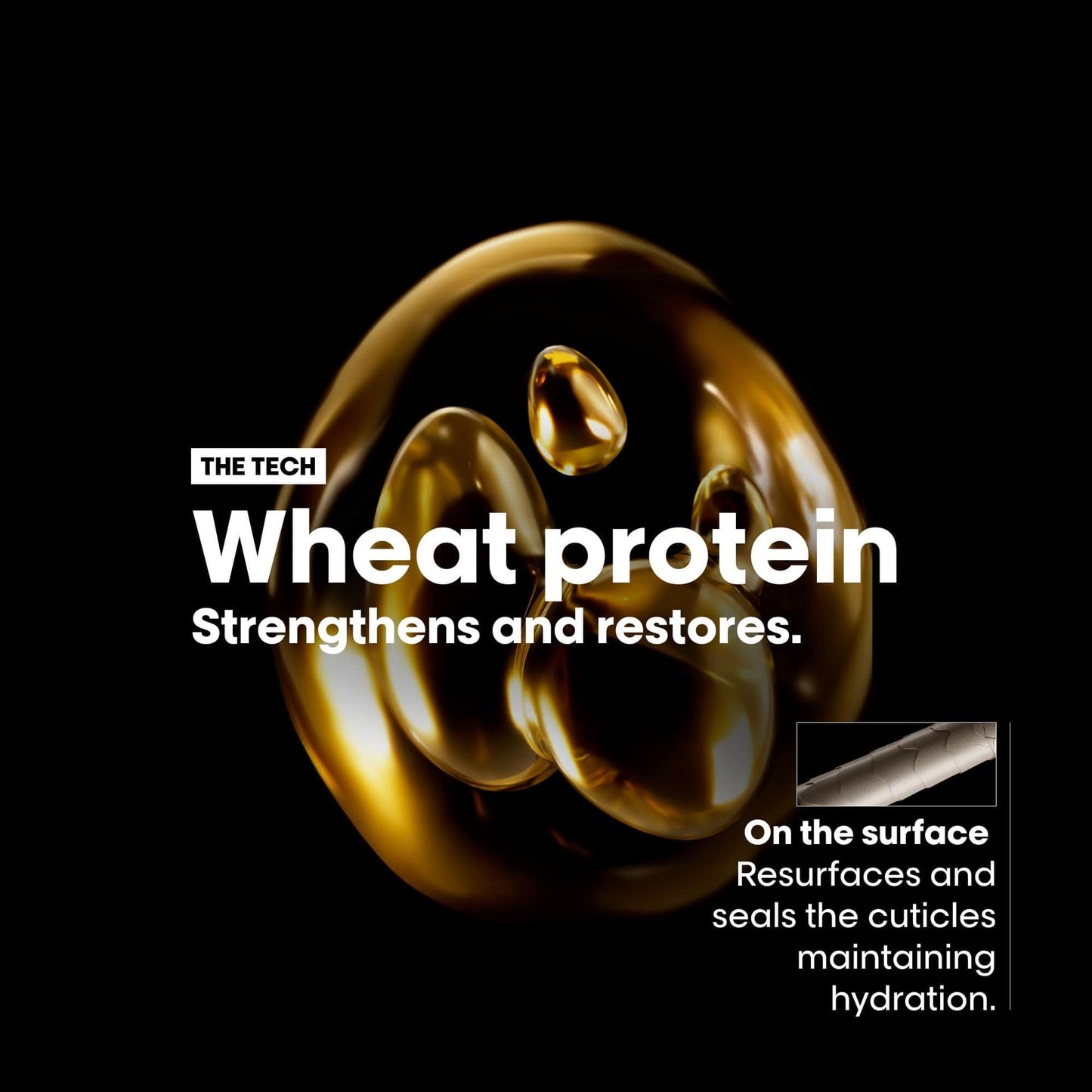 L'Oréal Professionnel Absolut Repair 10-in-1 Perfecting Oil — official technology card: wheat protein strengthens and restores, sealing the cuticle