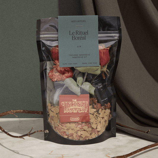 Pochette Trousse Immersive boréal