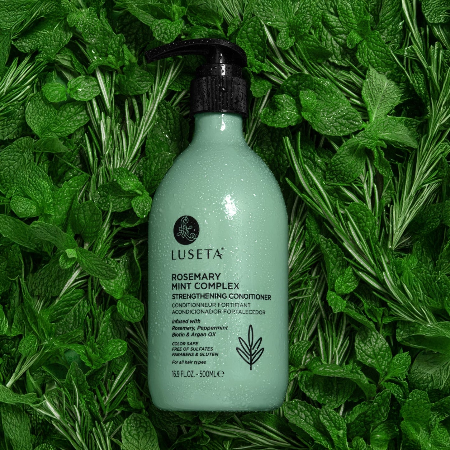 Luseta Rosemary Mint Complex Shampoo & Conditioner Duo