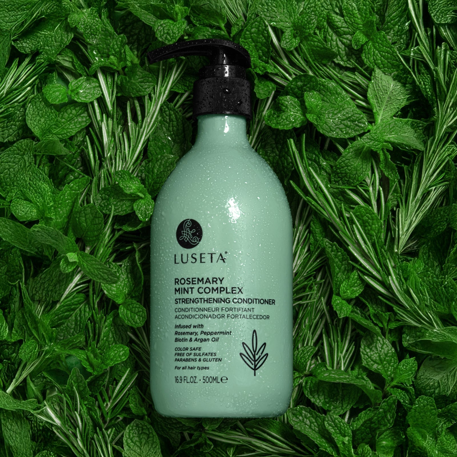Luseta Rosemary Mint Complex Shampoo & Conditioner Duo