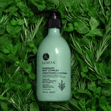 Luseta Rosemary Mint Complex Strengthening Conditioner product image