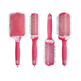 Olivia Garden Box of 4 brushes