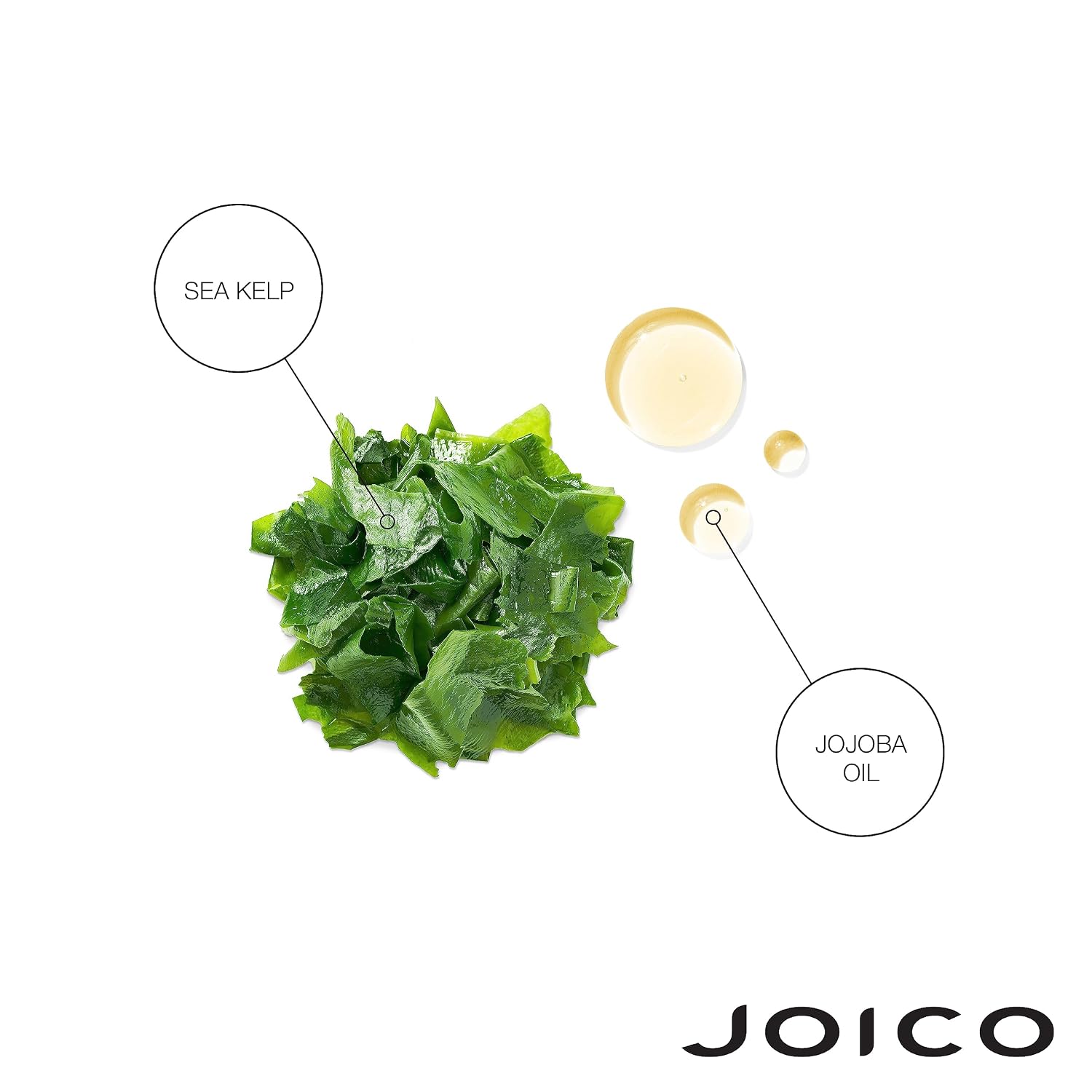 Joico Moisture Recovery Shampoo & Conditioner Duo — key ingredients — sea kelp and jojoba oil