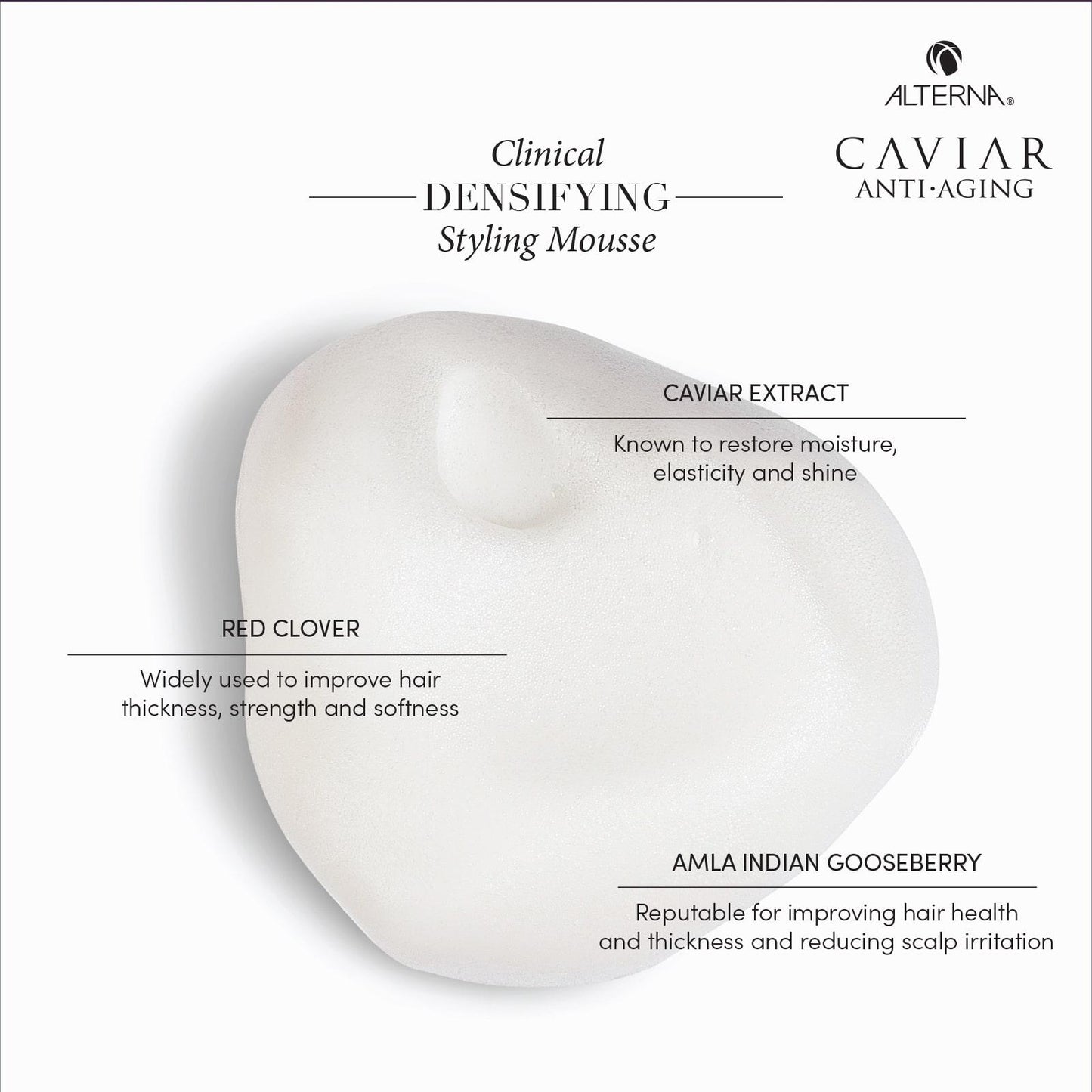 Alterna Caviar Clinical Densifying Styling Mousse – current texture image