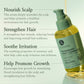 Luseta Beauty Rosemary Mint Complex Hair & Scalp Serum — product photograph