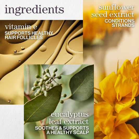 Pure Volume Holiday Trio - Pure Volume hero ingredients