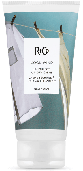 R+CO - Crema de secado al aire perfecta con PH Cool Wind |5 oz| 