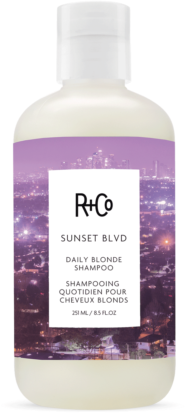 R+Co Sunset Blvd Daily Blonde Shampoo