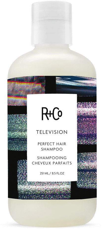 R+CO Television Perfect Hair Shampoo for Camera-Ready Shine | R+CO | ProHair.ca