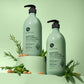 Luseta Beauty Rosemary Mint Complex Shampoo & Conditioner Duo - matching 33.8 fl oz / 1 L shampoo and conditioner pair