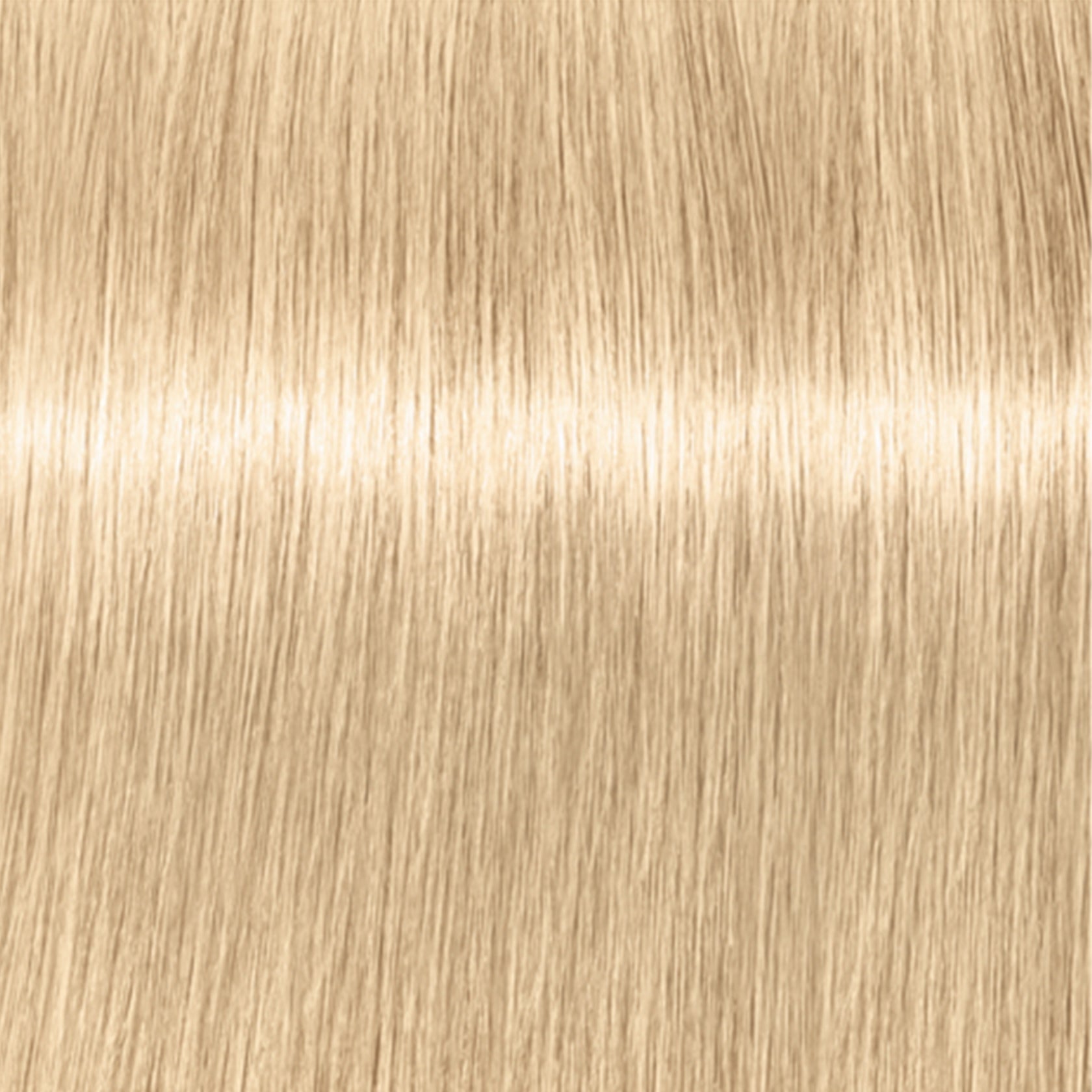 Schwarzkopf IGORA Royal Highlifts — shade 12-0 Special Blonde Natural on a hair strand
