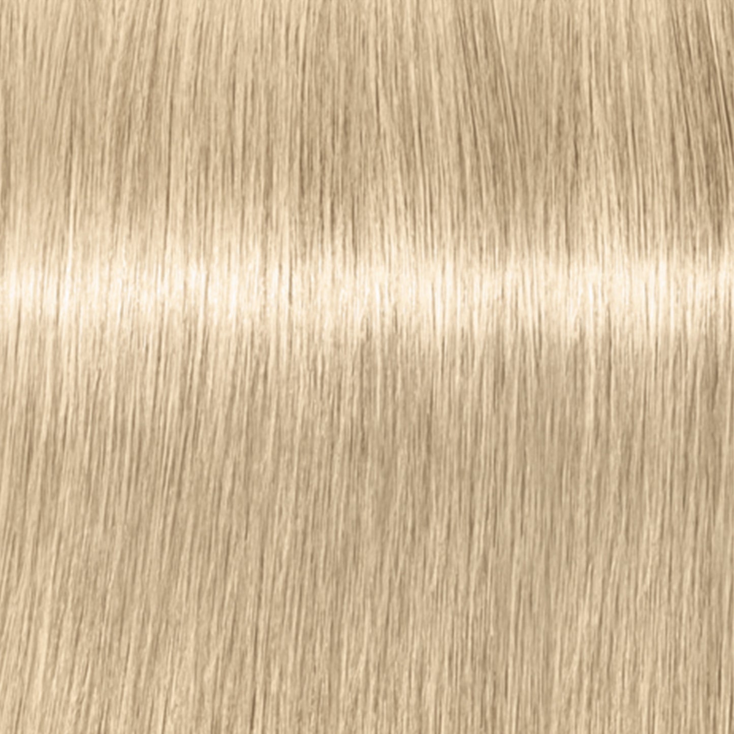 Schwarzkopf IGORA Royal Highlifts — shade 12-1 Special Blonde Cendre on a hair strand