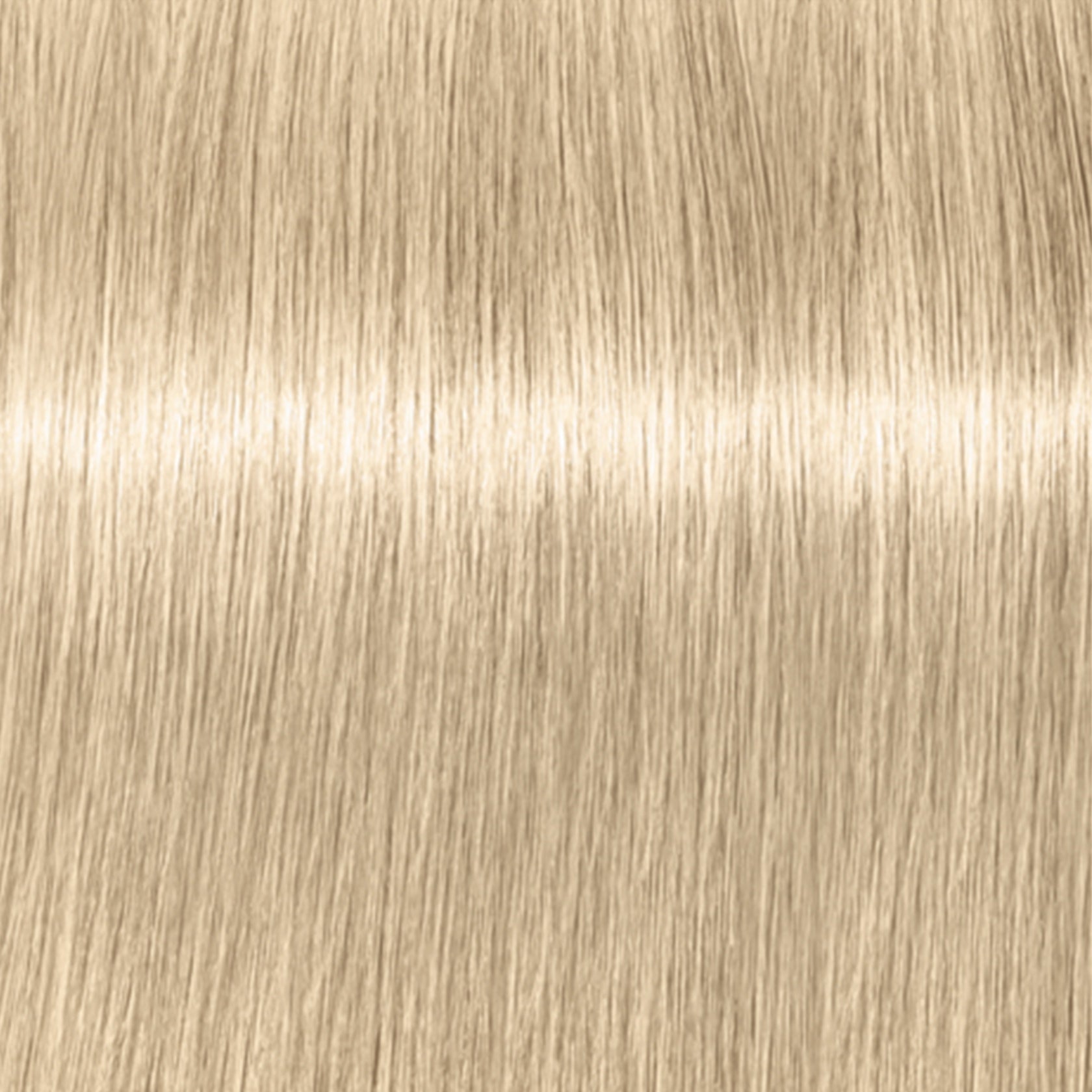 Schwarzkopf IGORA Royal Highlifts — shade 12-1 Special Blonde Cendre on a hair strand