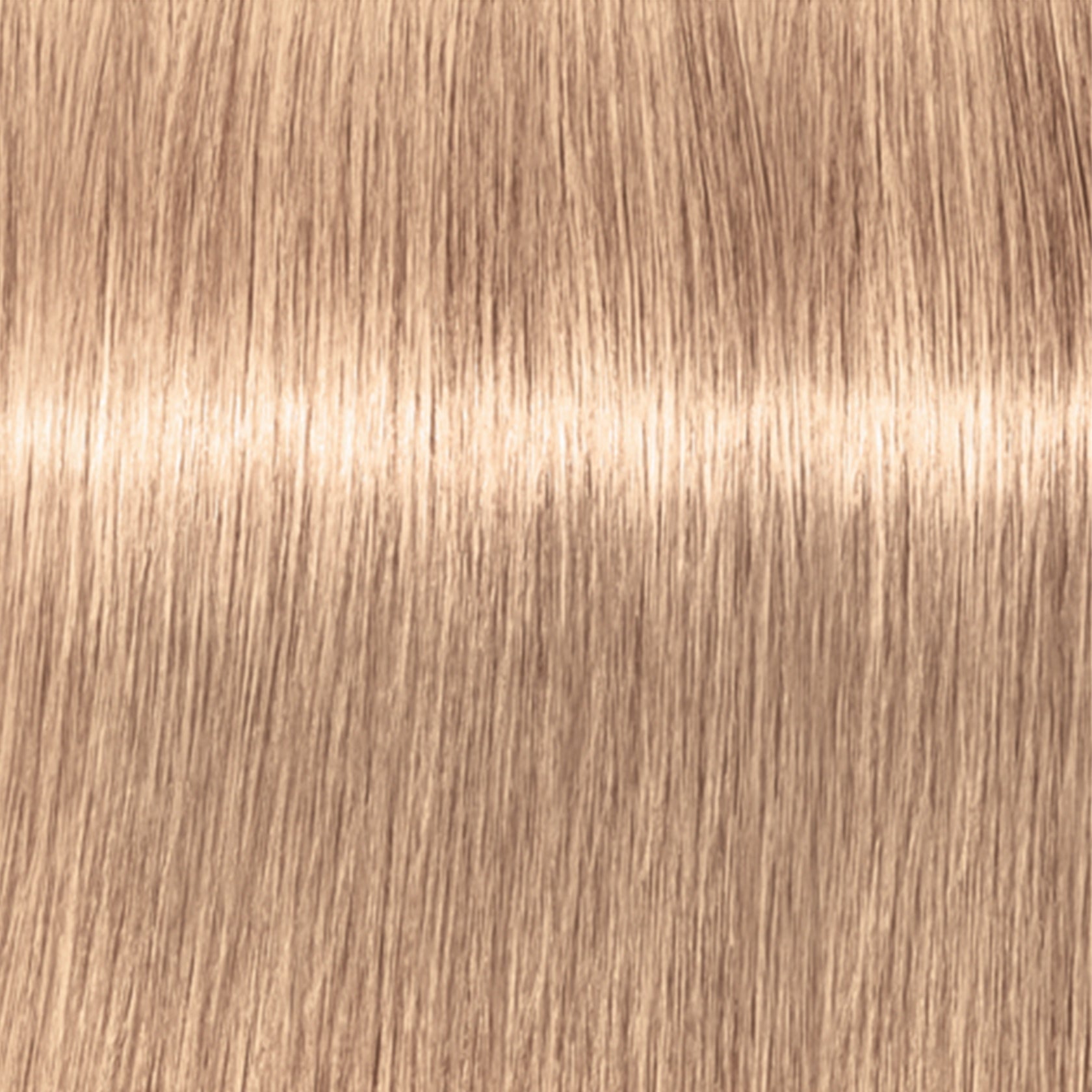 Schwarzkopf IGORA Royal Highlifts — shade 12-49 Special Blonde Beige Violet on a hair strand
