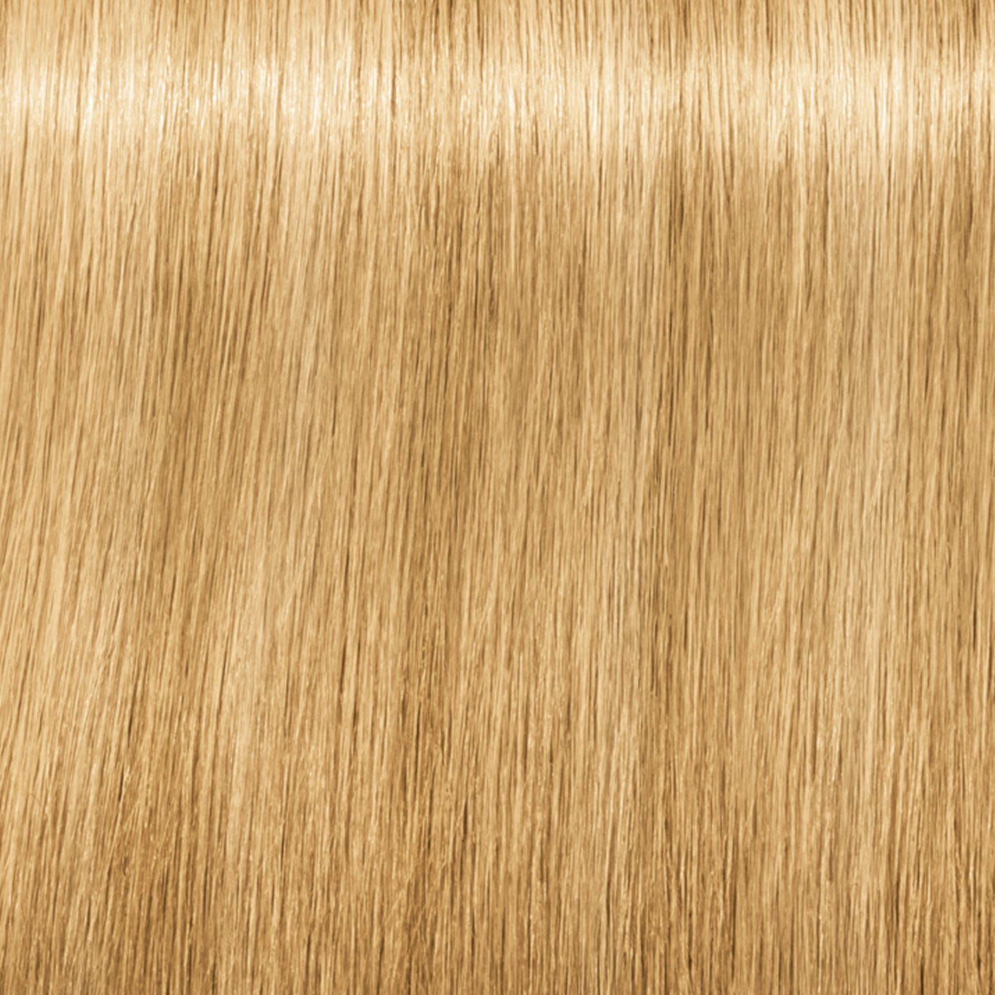 Schwarzkopf IGORA Royal Fashion Lights — shade L-00 Natural Extra on a hair strand