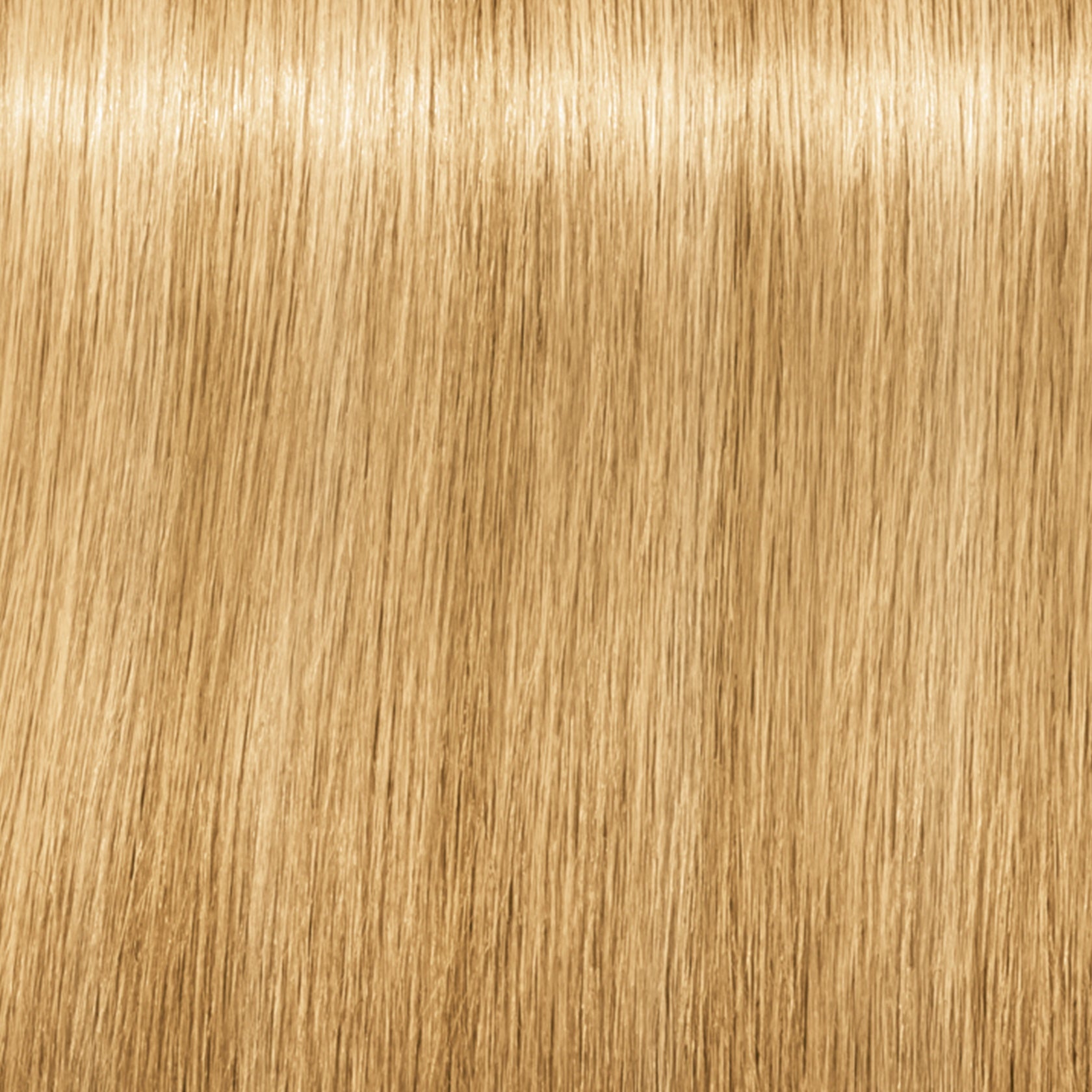 Schwarzkopf IGORA Royal Fashion Lights — shade L-00 Natural Extra on a hair strand