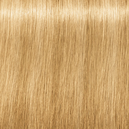 Schwarzkopf IGORA Royal Fashion Lights — shade L-00 Natural Extra on a hair strand