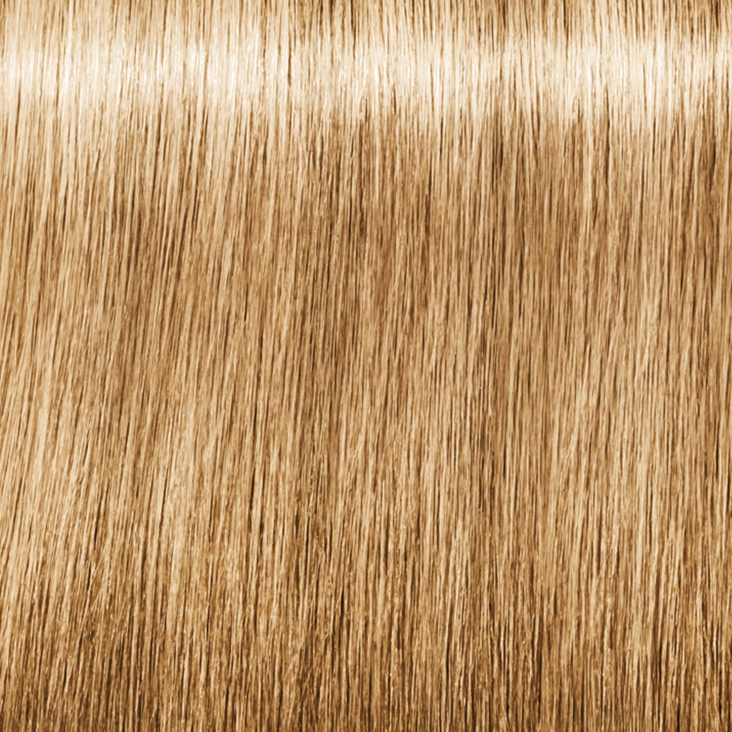Schwarzkopf IGORA Royal Fashion Lights — shade L-44 Beige Extra on a hair strand