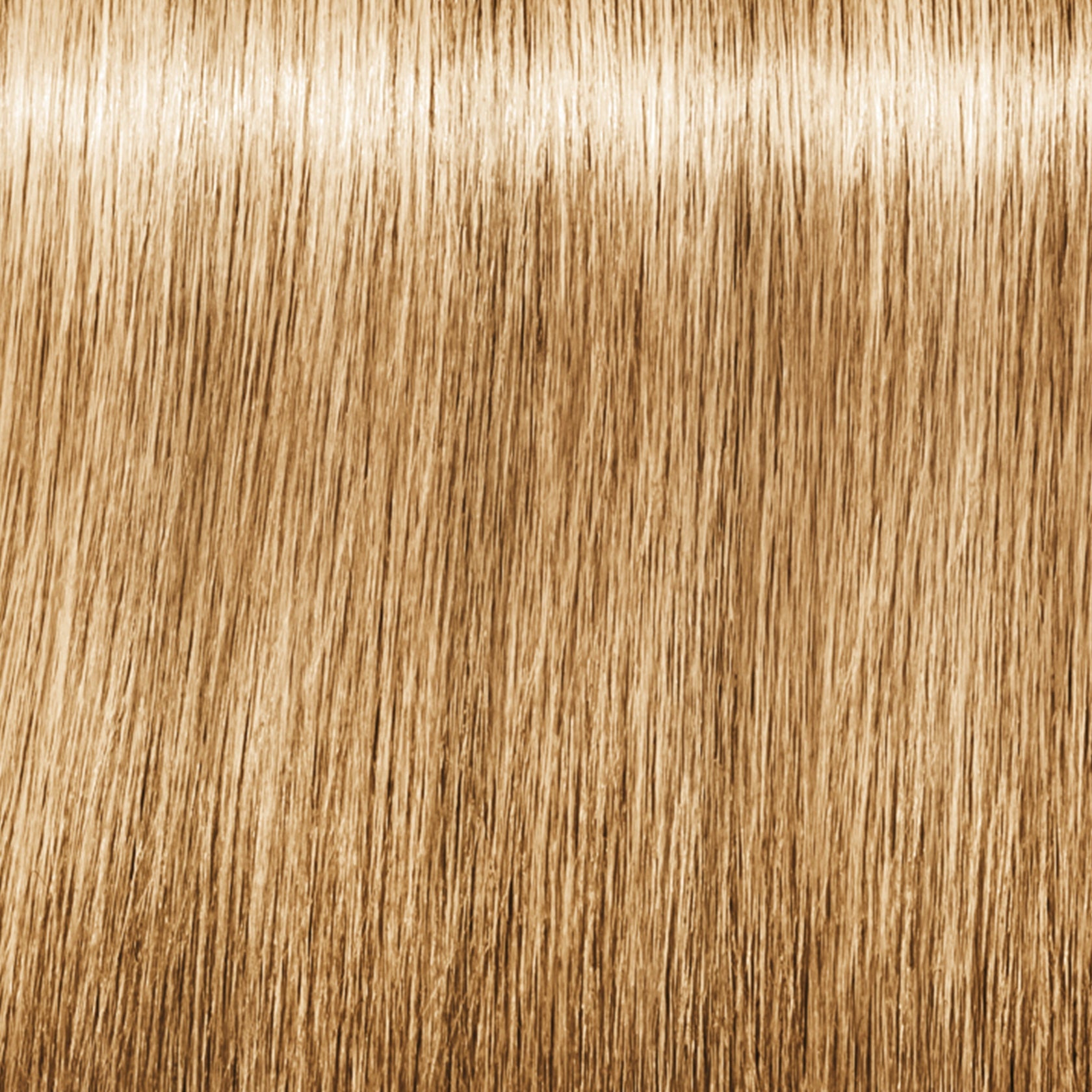 Schwarzkopf IGORA Royal Fashion Lights — shade L-44 Beige Extra on a hair strand