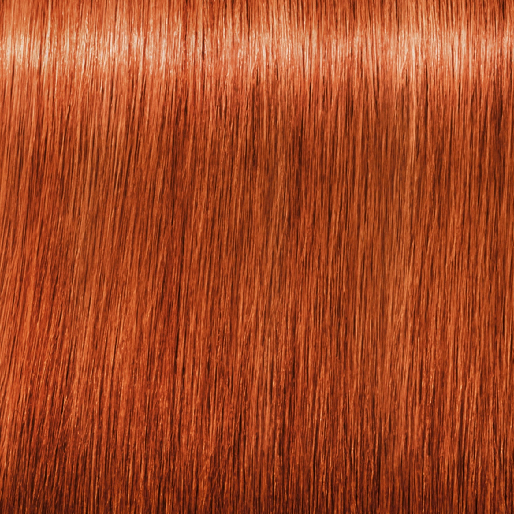 Schwarzkopf IGORA Royal Fashion Lights — shade L-77 Copper Extra on a hair strand
