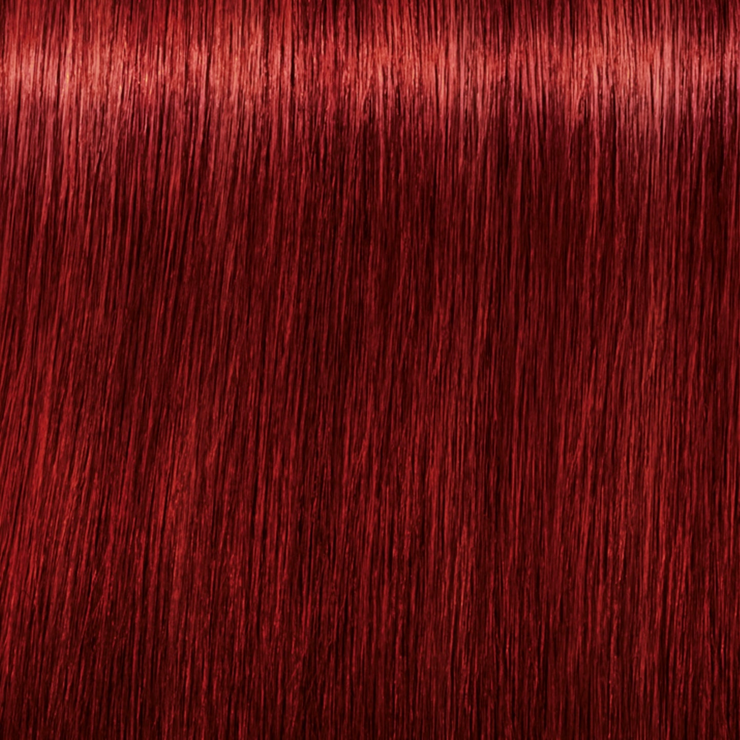 Schwarzkopf IGORA Royal Fashion Lights — shade L-88 Red Extra on a hair strand