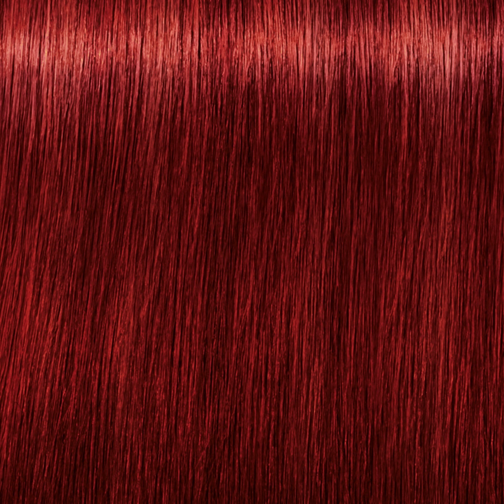 Schwarzkopf IGORA Royal Fashion Lights — shade L-88 Red Extra on a hair strand