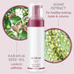 Aluram Volumizing Foam