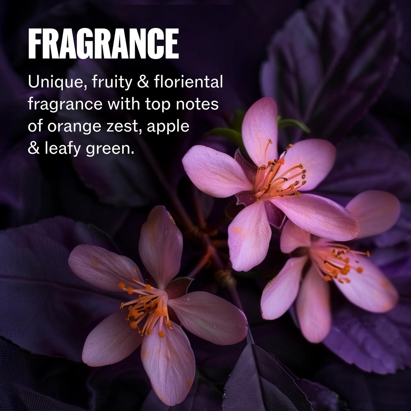 Wella Professionals Ultimate Color — Close-up image of purple flowers. Text overlay reads "Fragrance unique, fruity &amp; florential fragrance with top notes of orange zest, apple &amp; leafy green".