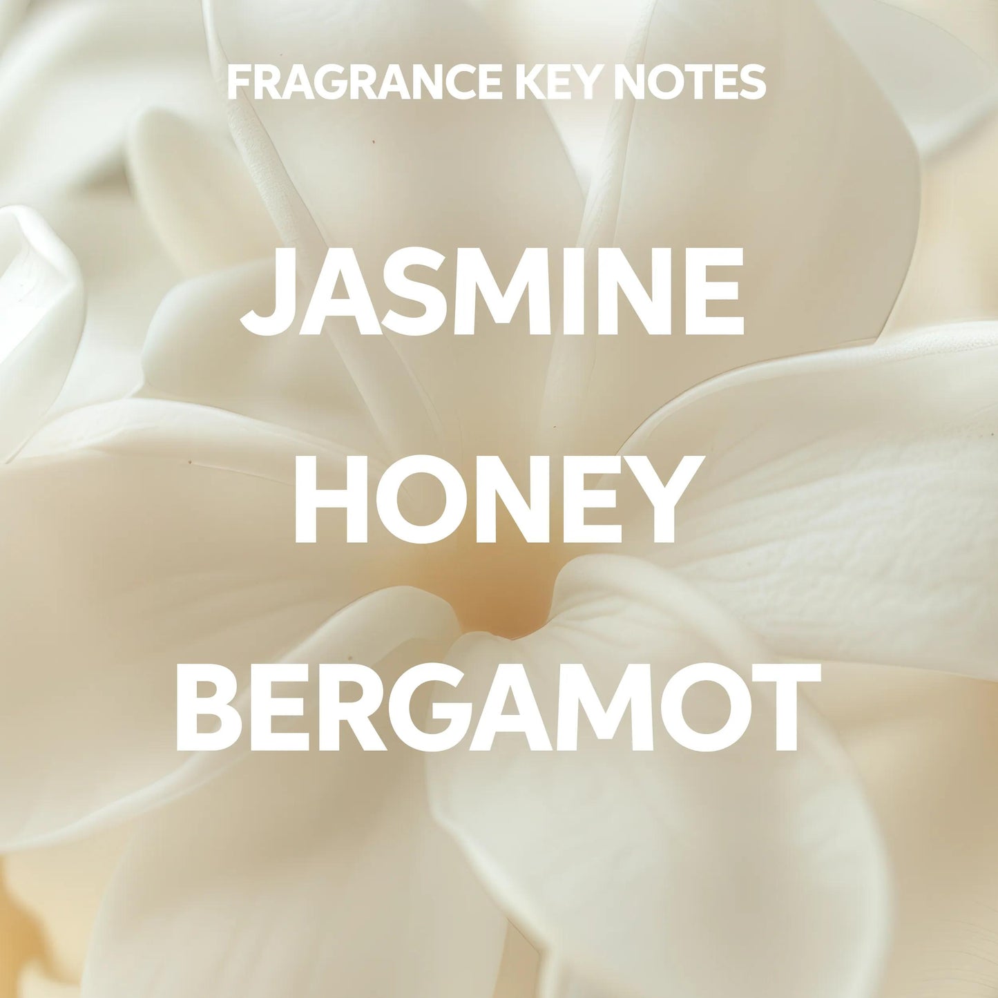 Wella Professionals Invigo Brilliance — Text saying 'fragrance key notes: jasmine, honey and bergamot' on a background photograph of a white flower.