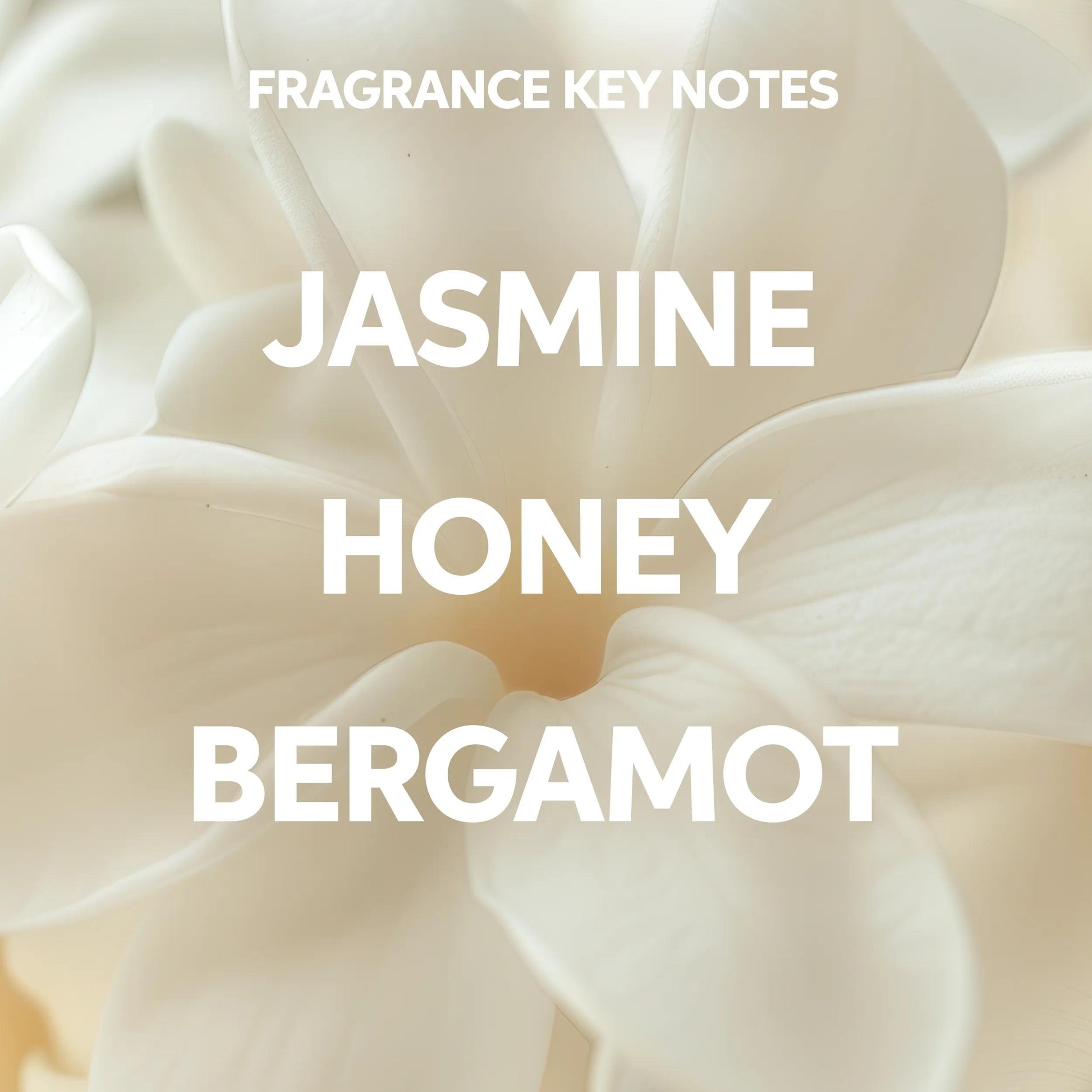 Wella Professionals Invigo Brilliance — Text saying 'fragrance key notes: jasmine, honey and bergamot' on a background photograph of a white flower.