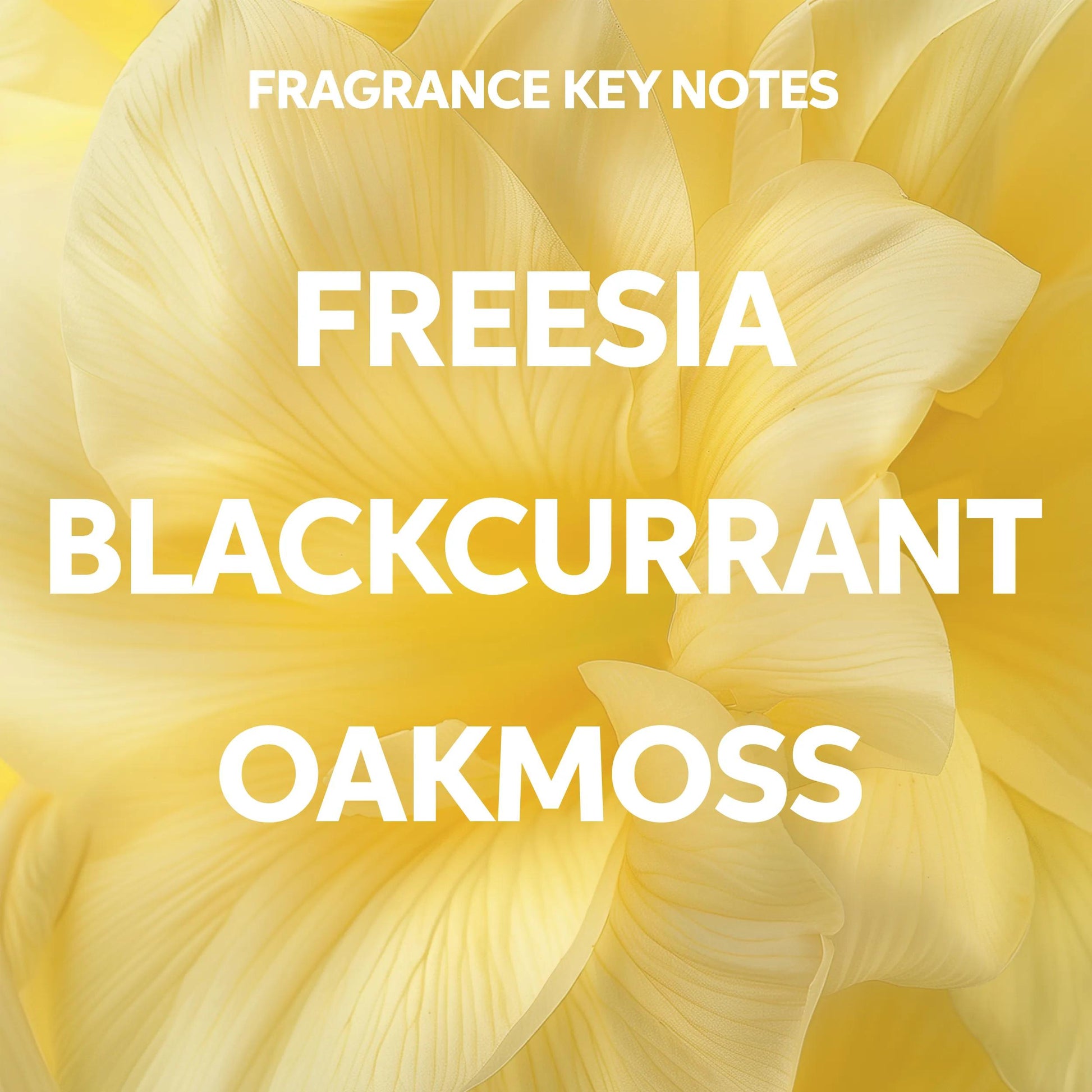 Wella Professionals NutriCurls — Image displaying fragrance key notes - Freesia, Blackcurrant, Oakmoss against a yellow flower background.