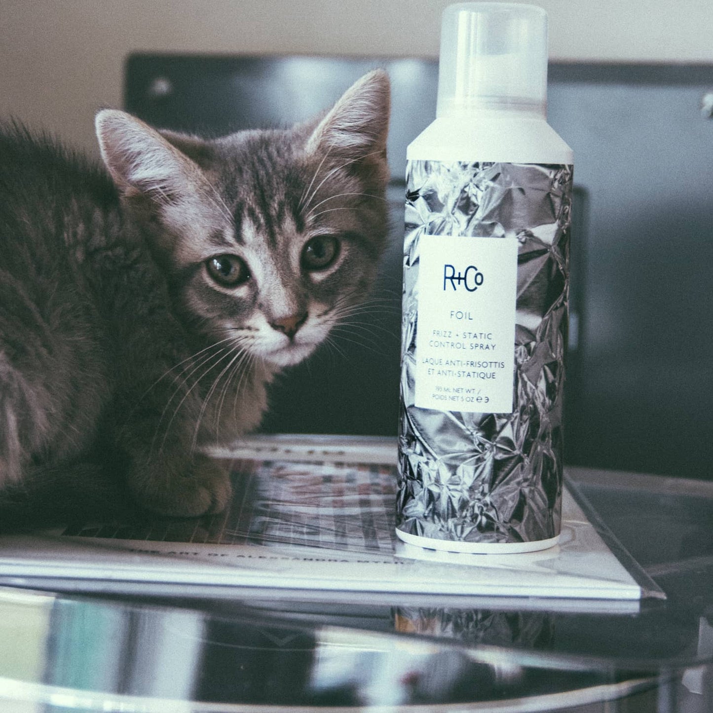 LAQUE ANTIFRISOTTIS + ANTISTATIQUE FOIL - Frizz & Static Control