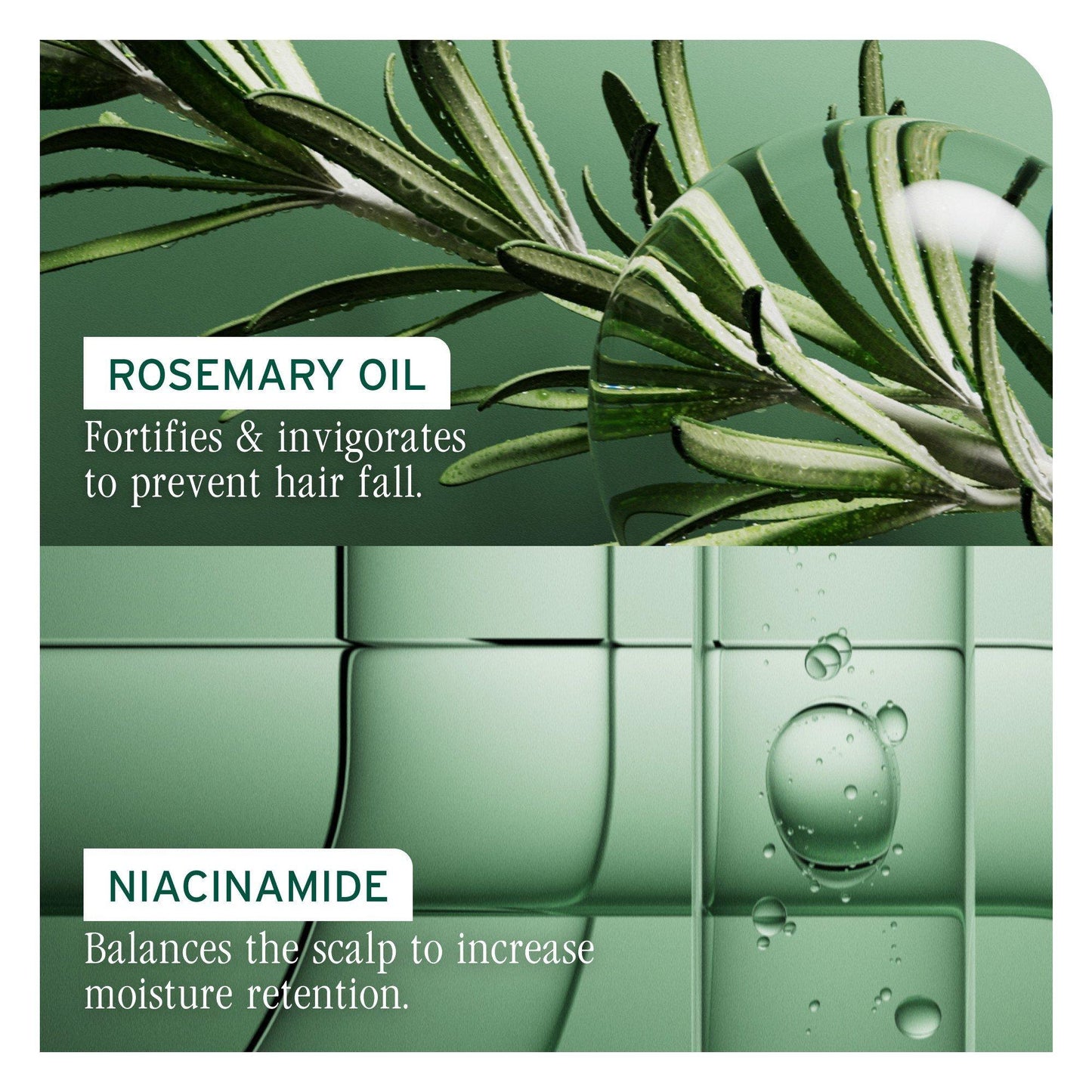 Biolage Full Rescue Conditioner — rosemary oil and niacinamide ingredient panel