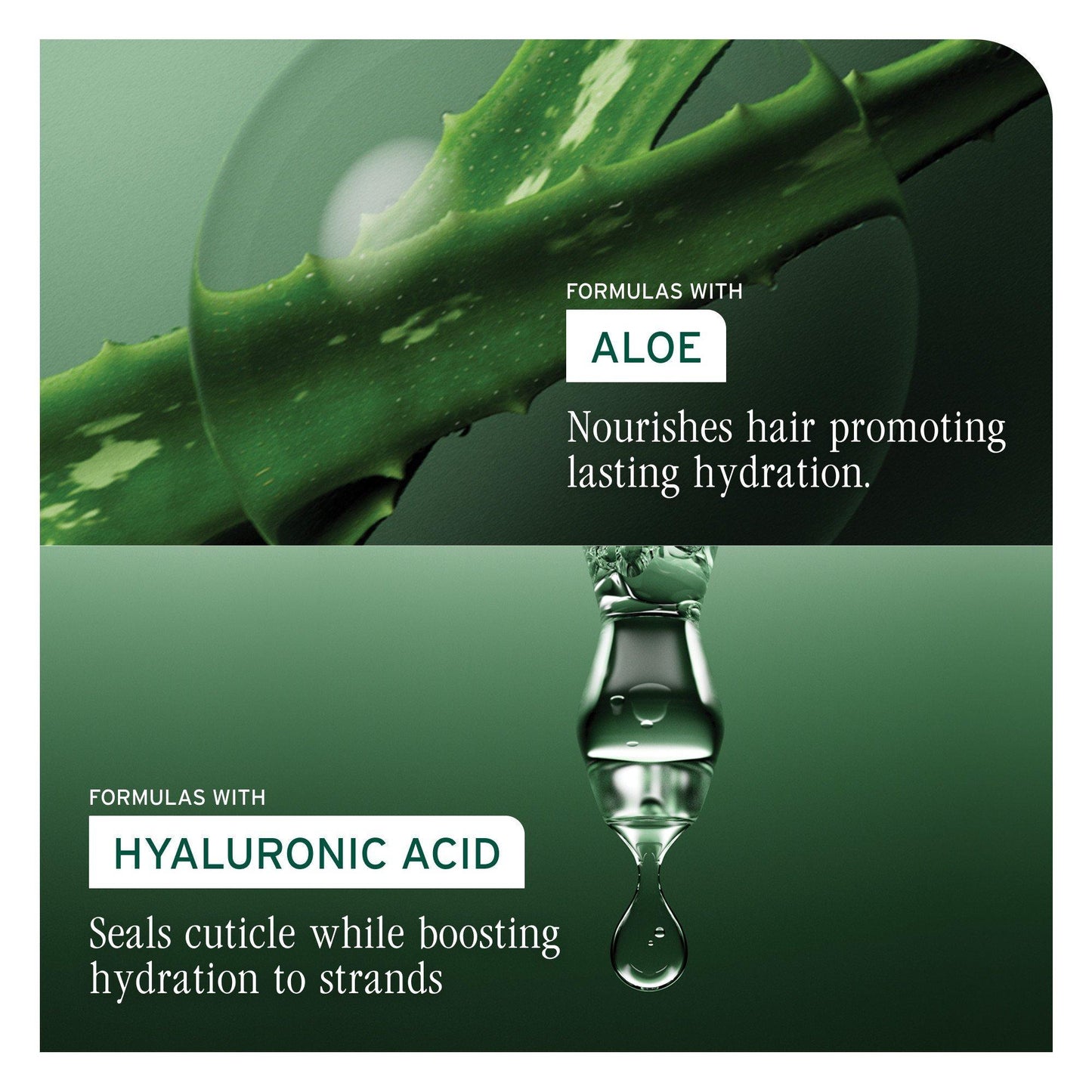Biolage HydraSource Shampoo — aloe and hyaluronic acid ingredient panel