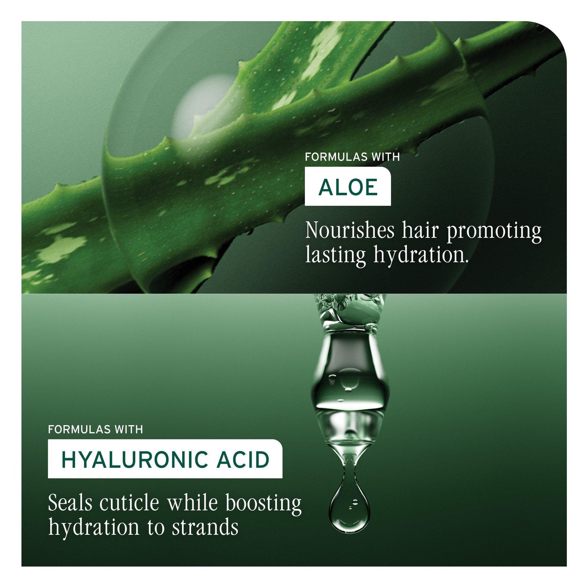 Biolage HydraSource Shampoo — aloe and hyaluronic acid ingredient panel
