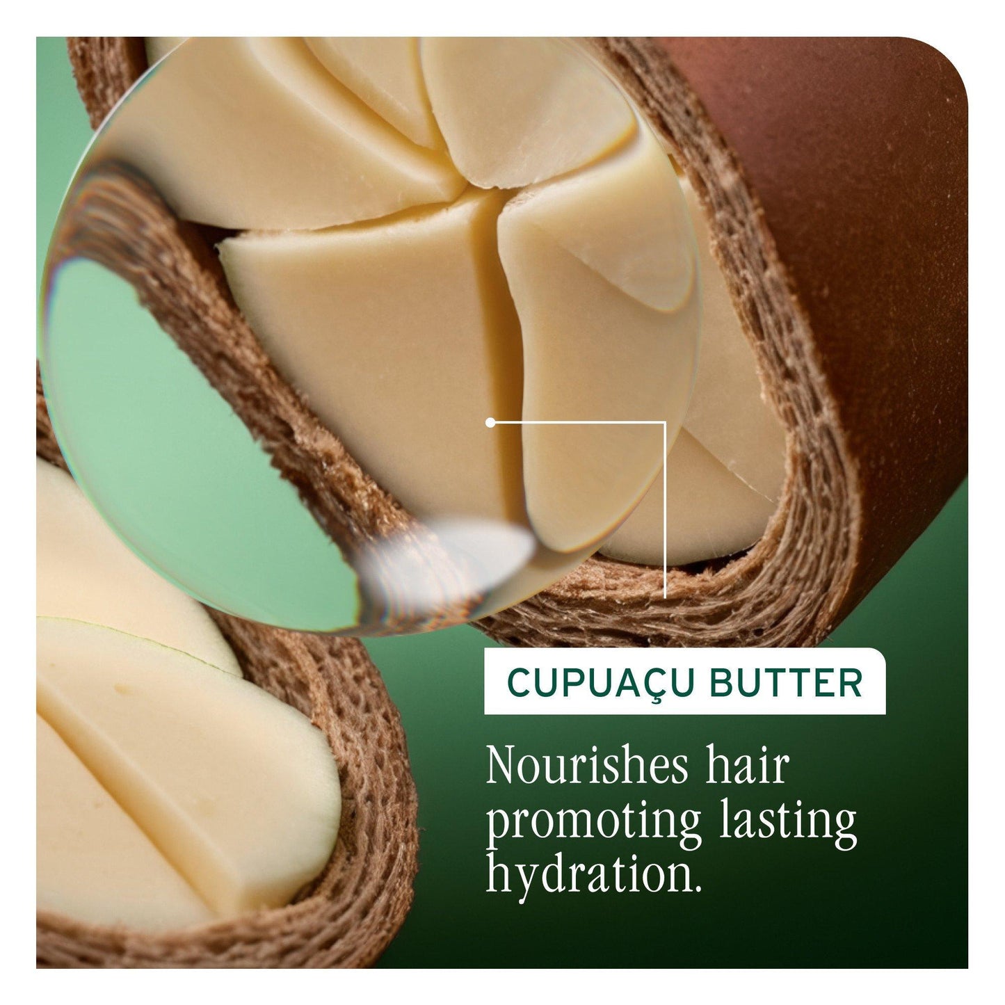 Biolage Ultra HydraSource Conditioning Balm — cold-pressed cupuacu butter ingredient panel